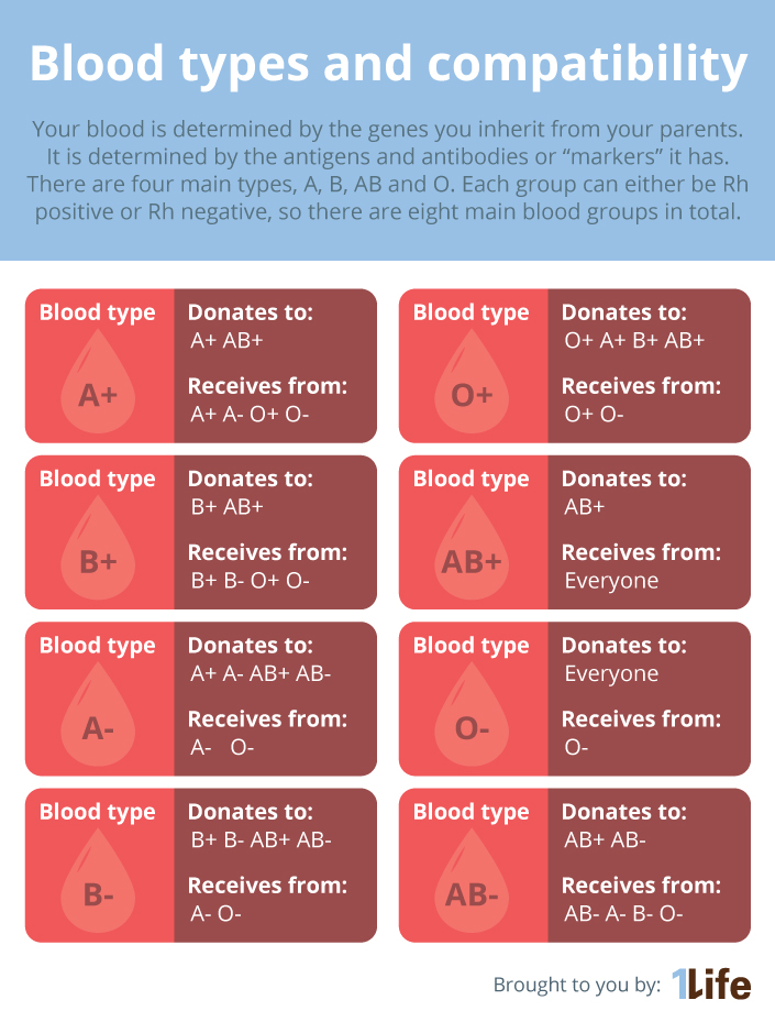 How To Tell Blood Type From Blood Test